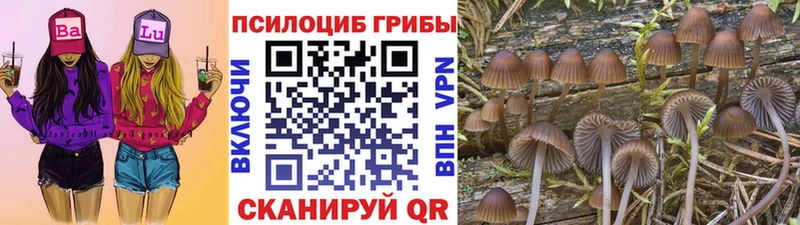 Псилоцибиновые грибы MAGIC MUSHROOMS  наркошоп  Арзамас 